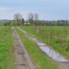 DSC_1484