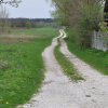 DSC_1503